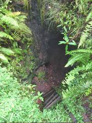 the ladder down to the hot cave (Pahoa)